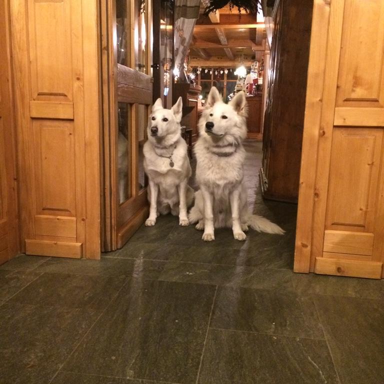 Hotel Lyshaus Gressoney-Saint-Jean Eksteriør bilde